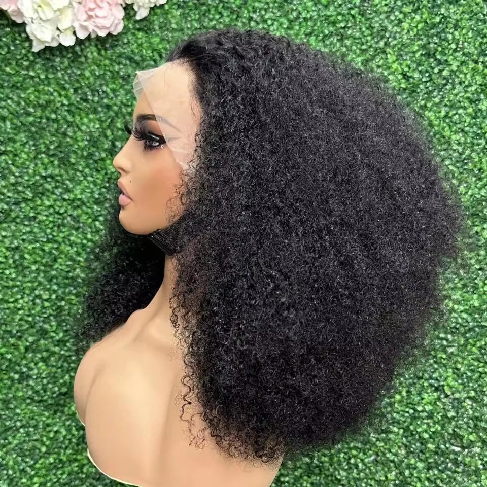 Big Afro Kinky Curly Lace Frontal Wigs 13x4 Transparent Hd Lace Glueless Human Hair Wigs Raw Indian Virgin Hair for Black Women