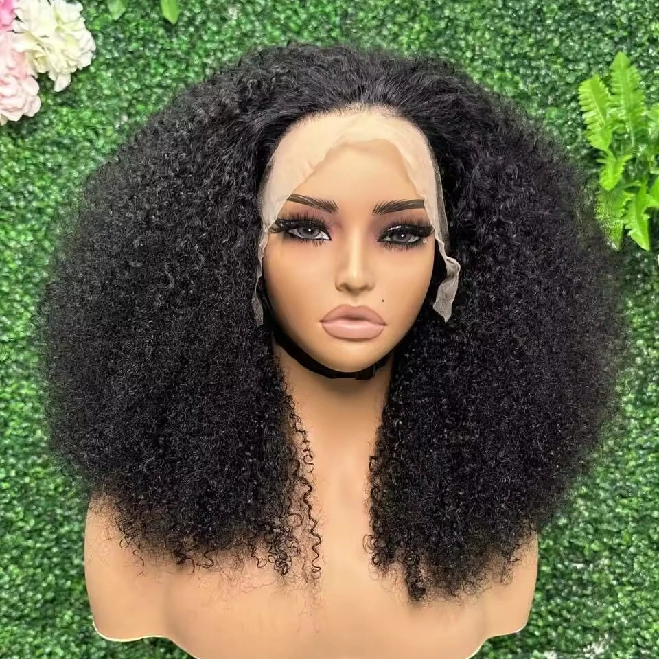 Big Afro Kinky Curly Lace Frontal Wigs 13x4 Transparent Hd Lace Glueless Human Hair Wigs Raw Indian Virgin Hair for Black Women
