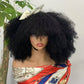 Pre-Plucked Afro Kinky Curly Lace machine made Front 300% Density Brazilian Human Hair Wigs for Black Women